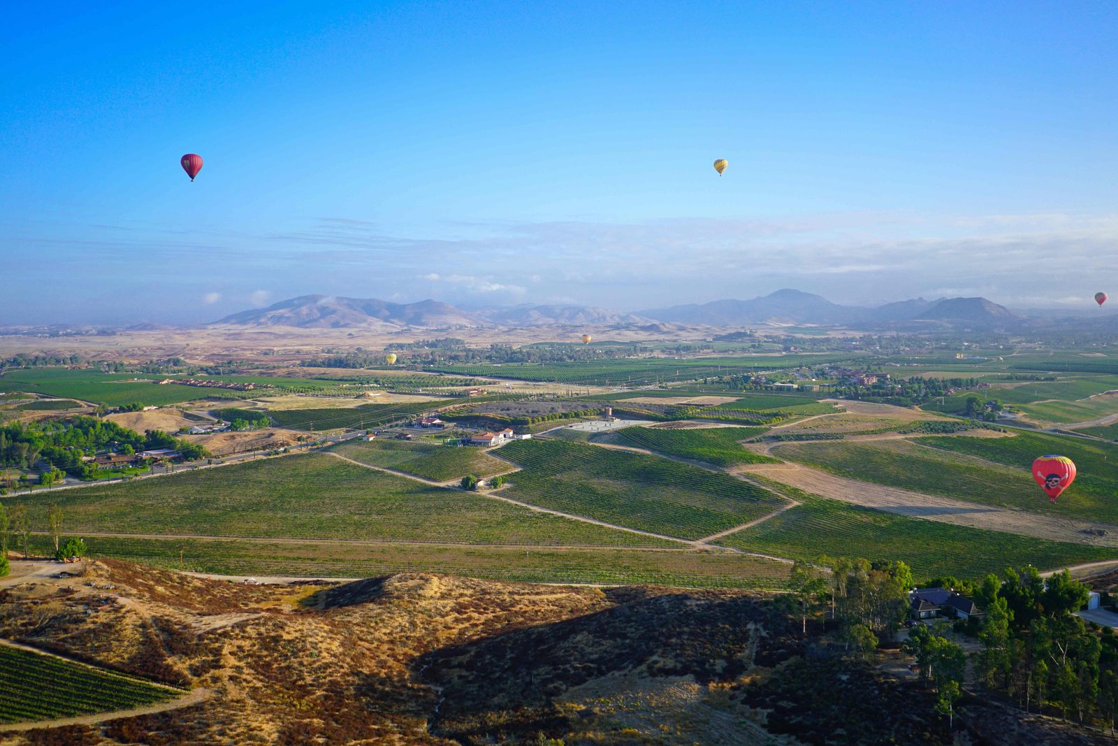 Aerial panorama of the Temecula Valley — hot air balloons drifting over vineyards and open hillsides that SDG&E's Golden Pacific Powerlink would cross.