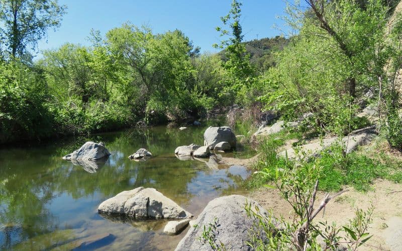 The Santa Margarita River — a calm, clear stretch of water threading large boulders, lined by dense green riparian woodland under a blue sky.